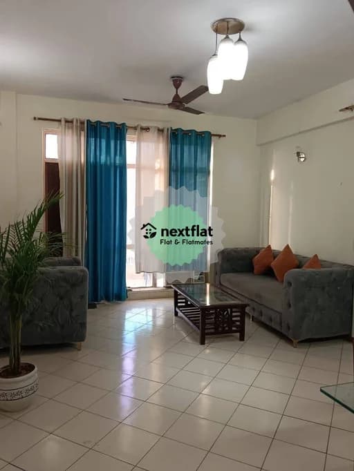 3BHK in Sushant Lok Phase I, Sector 43, Gurugram - NextFlat